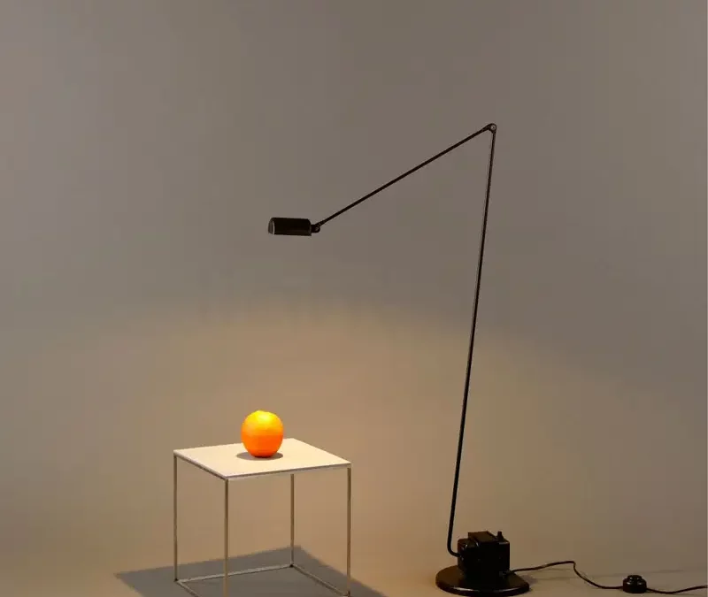 Daphine Terra Led