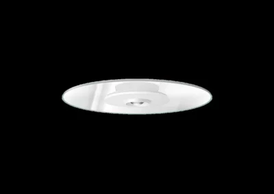 Dizco