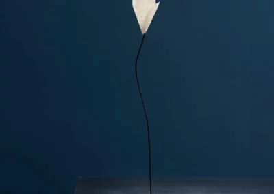 For you
