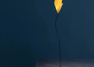For you