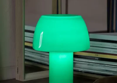 Laoosae