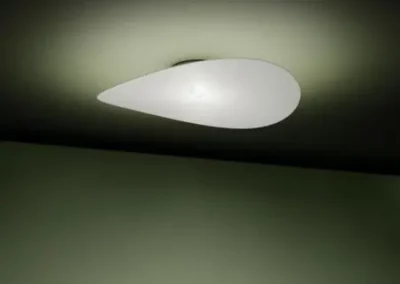Manta
