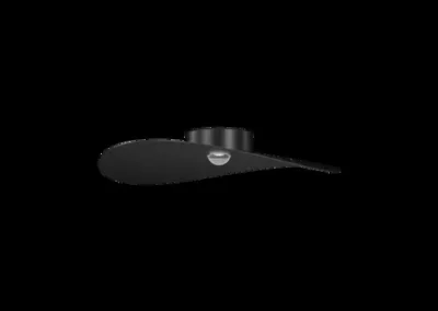 Manta
