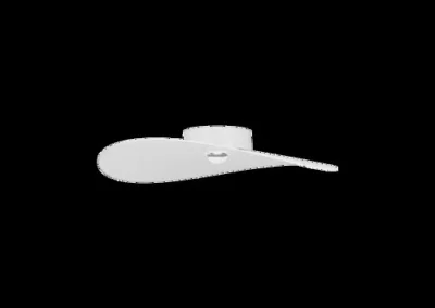 Manta