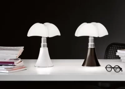 Minipipistrello cordless