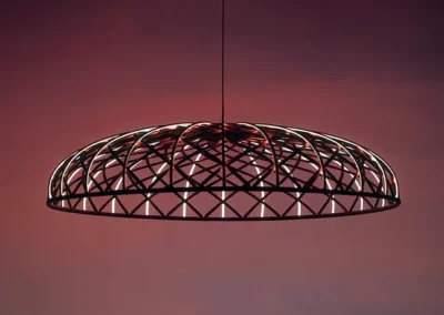 Skynest