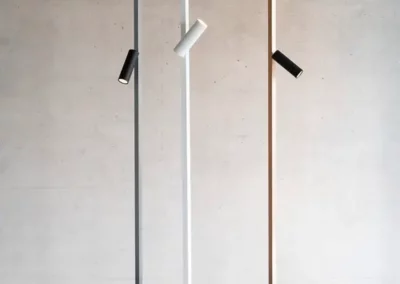 Zen-X