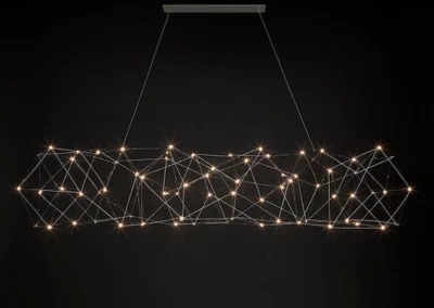 cosmos
