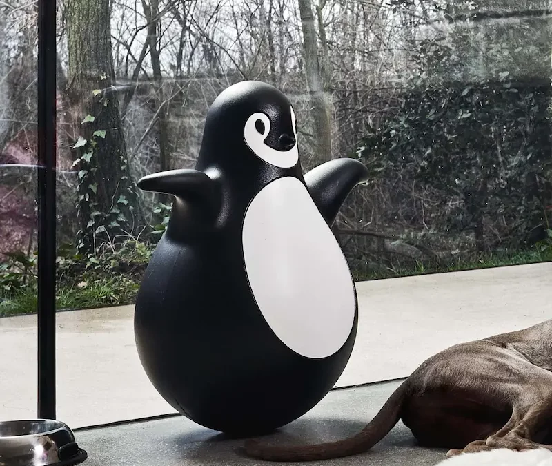 Pingy