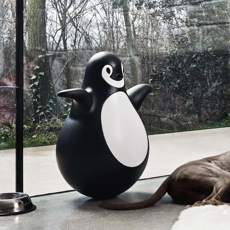 pingy