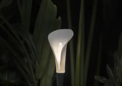Bloom
